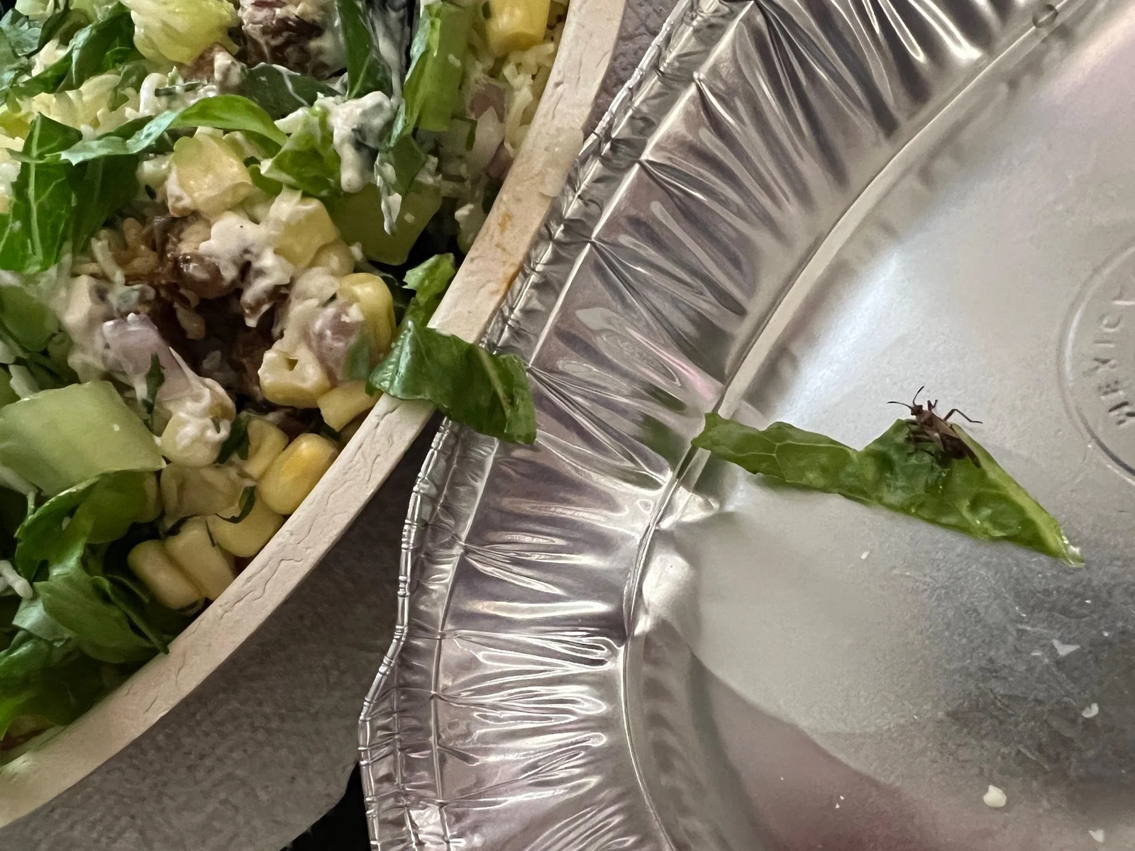 Chipotle App Something Went Wrong: Causes, Fixes, and How to Get the App Working Again
